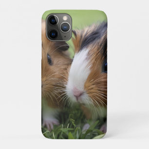 Zwei Baby Tortoiseshell Guinea Schweine, Case-Mate iPhone Hülle