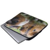 Zwei Baby Tortoiseshell Guinea Schweine, Laptopschutzhülle (Vorne Knopf)