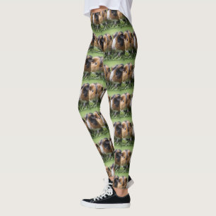 Zwei Baby Tortoiseshell Guinea Schweine, Leggings