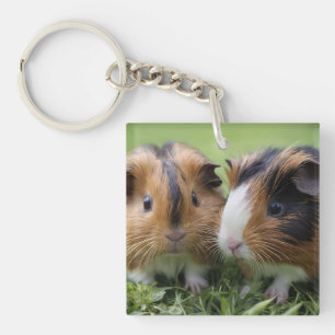 Zwei Baby Tortoiseshell Guinea Schweine, Schlüsselanhänger