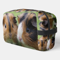 Zwei Baby Tortoiseshell Guinea Schweine,
