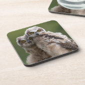 Zwei Baby-Virginia-Uhus Untersetzer (Linke Seite)