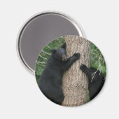 zwei Bären im Baum Magnet (Vorderseite/Rückseite)