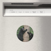 zwei Bären im Baum Magnet (In Situ (Geschirrspüler))