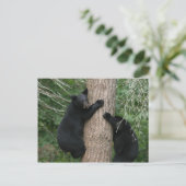 zwei Bären im Baum Postkarte (Stehend Vorderseite)