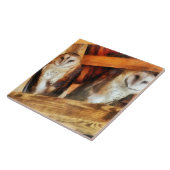 Zwei Barn Owls Fliese (Seite)