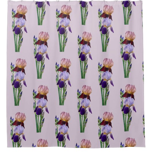 Zwei Bart-Iris Eine Marone Eine Violette Duschvorhang (Vorderseite)