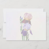 Zwei Bart-Iris Eine Marone Eine Violette Einladung (Rückseite)