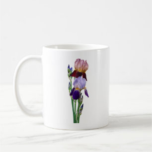 Zwei Bart-Iris Eine Marone Eine Violette Kaffeetasse