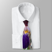 Zwei Bart-Iris Eine Marone Eine Violette Krawatte (Gebunden)