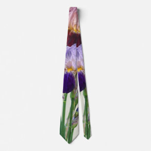 Zwei Bart-Iris Eine Marone Eine Violette Krawatte