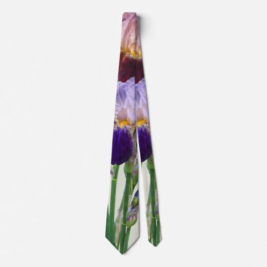 Zwei Bart-Iris Eine Marone Eine Violette Krawatte (Vorderseite)