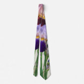 Zwei Bart-Iris Eine Marone Eine Violette Krawatte (Rückseite)