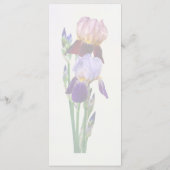 Zwei Bart-Iris Eine Marone Eine Violette Menükarte (Rückseite)
