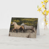 Zwei Bashkir-Curly-Pferde laufen zusammen Karte (Gelbe Blume)