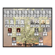 Zwei Baumblüten der Familie - Foto | Rosa Sonnenun