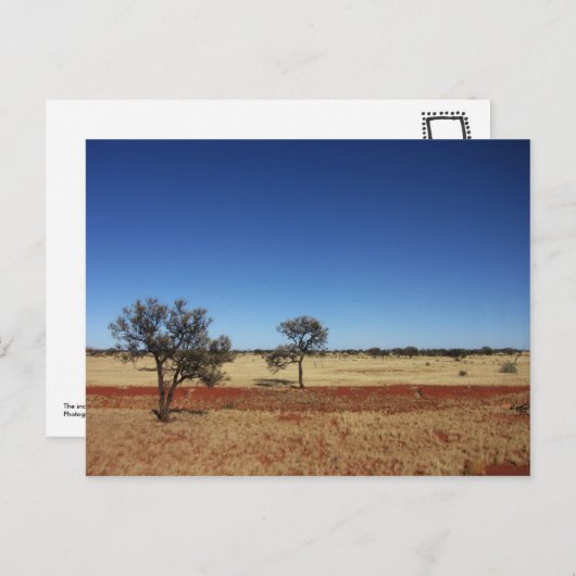 Zwei Bäume Postkarte (Vorne/Hinten)