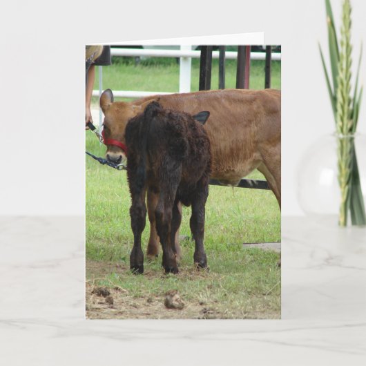 Zwei Beef Show Einsendungen Karte (Vorderseite)