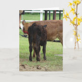 Zwei Beef Show Einsendungen Karte (Gelbe Blume)