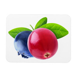 Zwei Beeren Magnet