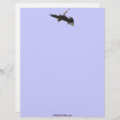 ZWEI BEKÄMPFUNGSAUSGABEN BRIEFBOGEN (Vorne/Hinten)