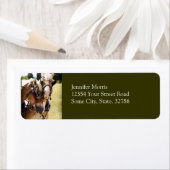 Zwei belgische Pferderauben (Insitu)