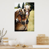 Zwei belgische Pferderauben Poster (Küche)