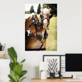 Zwei belgische Pferderauben Poster (Heimbüro)