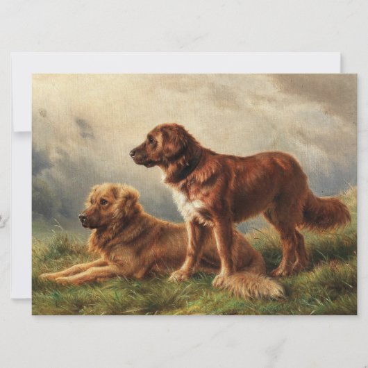 Zwei beobachtende Hunde Karte (Vorderseite)