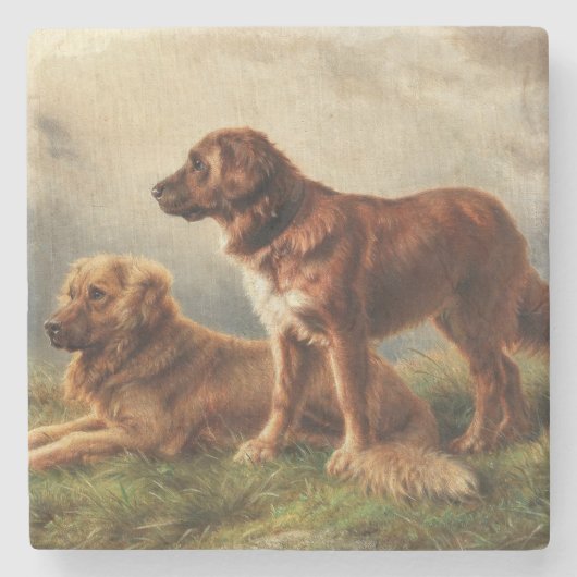Zwei beobachtende Hunde Steinuntersetzer (Vorderseite)