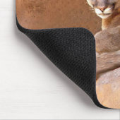 Zwei Berglionen-Mousepad Mousepad (Ecke)