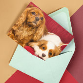 Zwei beste Freunde CKCS Ruby und Blenheim Card Karte