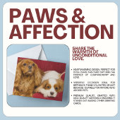 Zwei beste Freunde CKCS Ruby und Blenheim Card Karte