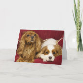 Zwei beste Freunde CKCS Ruby und Blenheim Card Karte (Vorderseite)