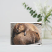 Zwei Biber schlafen zusammen Postkarte (Stehend Vorderseite)