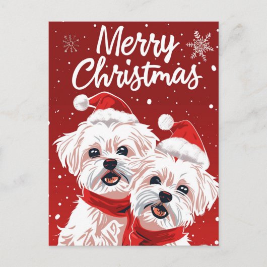 Zwei Bichon Frise frohe Weihnachten Postkarte (Vorderseite)