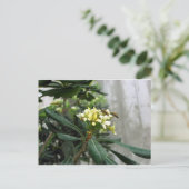 Zwei Bienen Postkarte (Stehend Vorderseite)