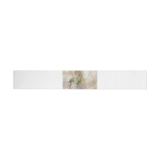 Zwei Bienenfresser (Person)