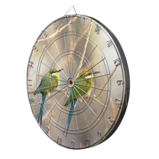 Zwei Bienenfresser Dartscheibe (Vorderseite rechts)