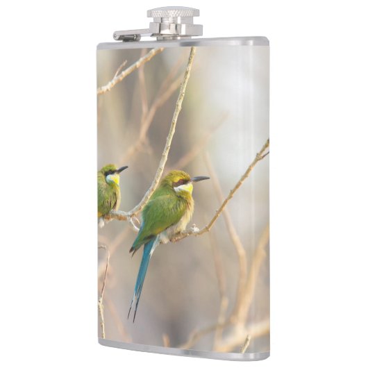 Zwei Bienenfresser Flachmann (Links)