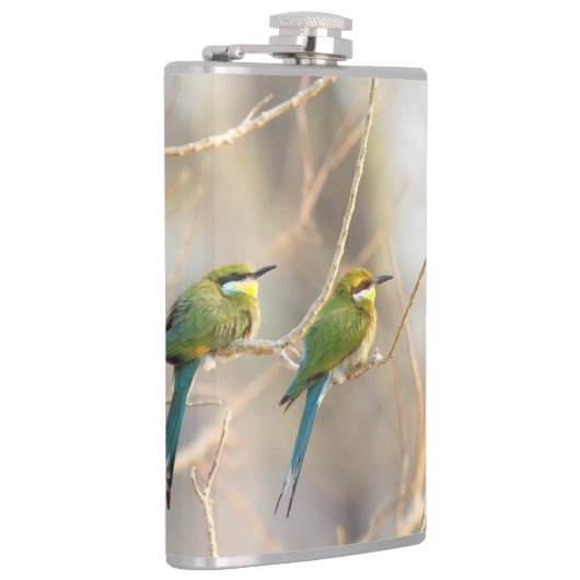 Zwei Bienenfresser Flachmann (Rechts)