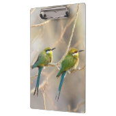 Zwei Bienenfresser Klemmbrett (Links)