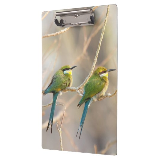 Zwei Bienenfresser Klemmbrett (Links)