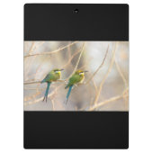 Zwei Bienenfresser Klemmbrett (Rückseite)