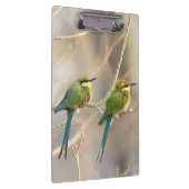 Zwei Bienenfresser Klemmbrett (Rechts)