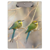 Zwei Bienenfresser Klemmbrett (Vorderseite)