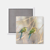 Zwei Bienenfresser Magnet (Vorderseite/Rückseite)