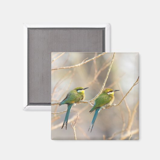 Zwei Bienenfresser Magnet (Vorderseite/Rückseite)