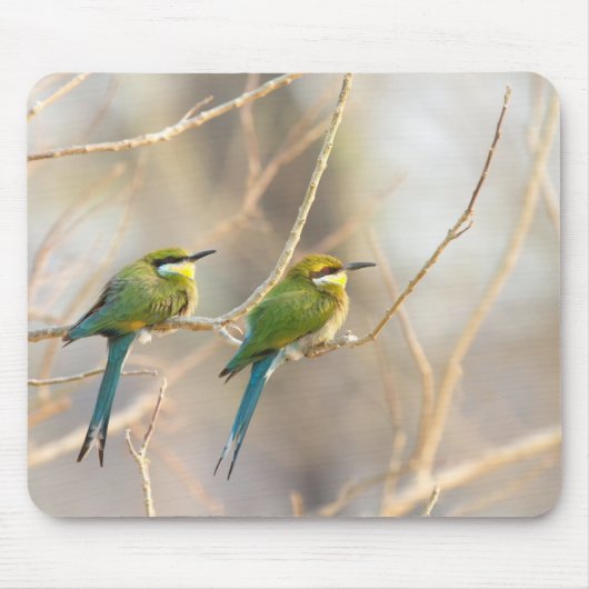Zwei Bienenfresser Mousepad (Vorne)