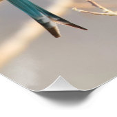 Zwei Bienenfresser Poster (Ecke)